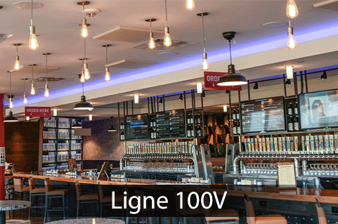 Enceintes ligne 100V TruAudio